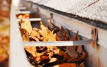 Upper Lochton gutter cleaning companies