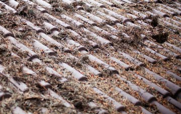 Upper Lochton roof cleaning companies